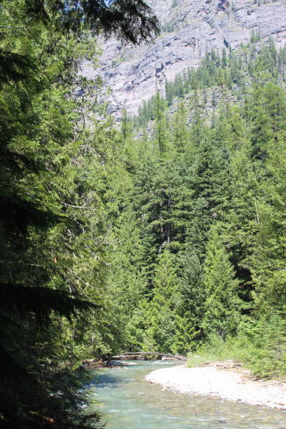 istock Summer in Glacier National Park 1433414993