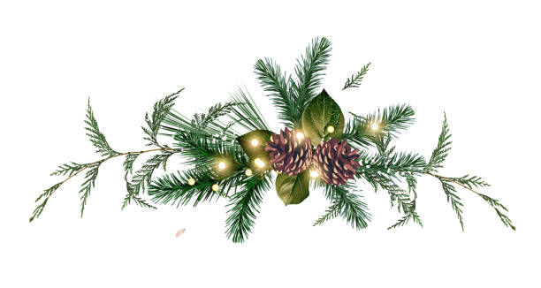 Emerald christmas greenery, spruce, fir, cedar, pine cones vector design bouquet Emerald christmas greenery, spruce, fir, cedar, pine cones vector design bouquet. Winter wedding or new year party invitation border. Simple watercolor style. Illuminated garland Isolated and editable christmas pine cone frame branch stock illustrations