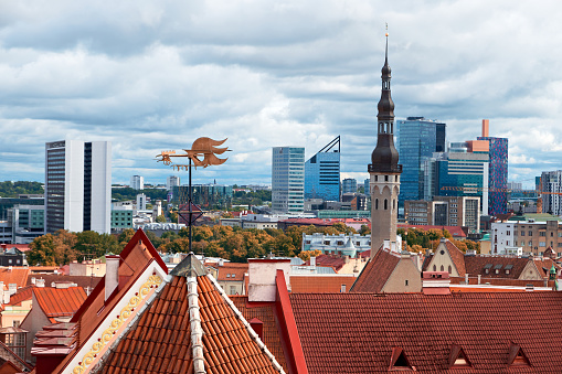 Bird view of historic city center of Tallinn, Estonia and modern town behind. Autumn trees, towers and orange tile roofs of ancient, medieval houses under cloudy overcast sky.