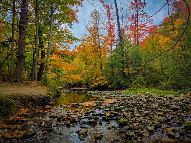 istock Fall color at Wilket Creek trail 1433415960