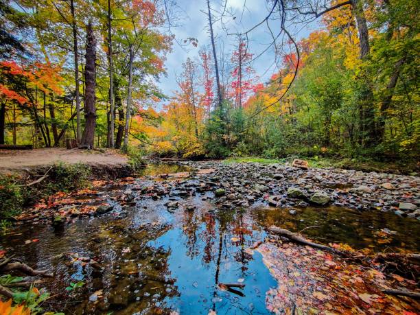 istock Fall color at Wilket Creek trail 1433415961