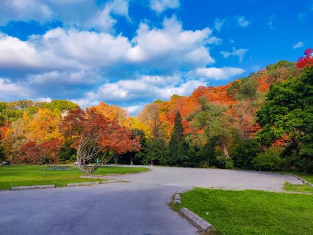 istock Fall color at Wilket Creek trail 1433415981