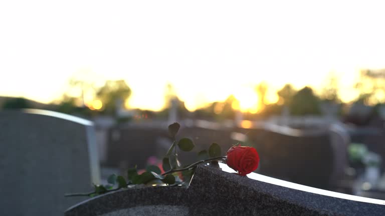 Man putting rose on a grave