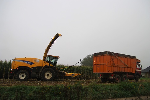Brunssum, the Netherlands, - November 26, 2020. Trailers in the Limburg Country are loaded with Sugar Beets after the harvest.