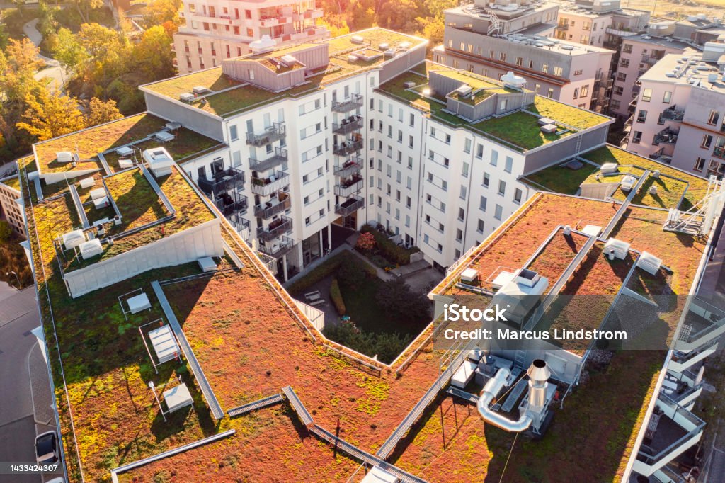 Apartment buildings with plants on the roof tops Roof tops with plants in a residential district in Stockholm. Living Roof Stock Photo