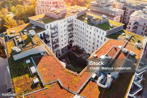 Apartment Buildings With Plants On The Roof Tops Stock Photo - Download Image Now - Living Roof, Stockholm, City