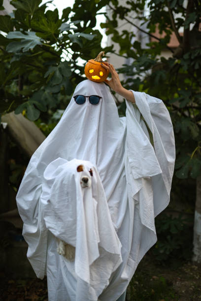 カボチャとハロウィーンの幽霊の衣装を着た犬と飼い主の肖像画 - single flower flower autumn pumpkin ストックフォトと画像