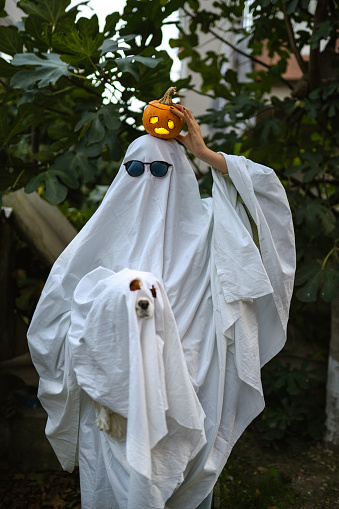 Portrait of dog and owner in ghost costume on halloween with pumpkins