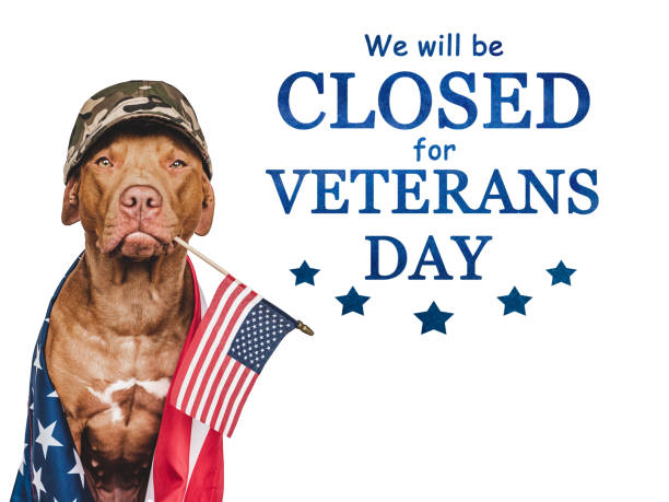 istock Signboard. We will be closed for Veterans Day 1433431480