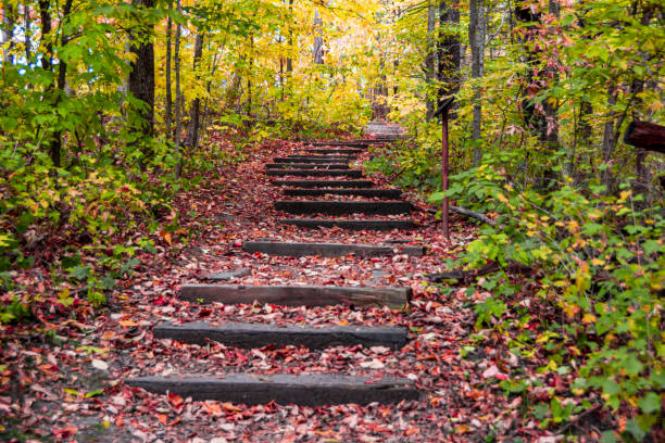 Wooden stairs in autumn stock photo