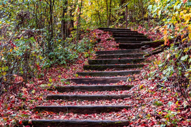 istock Wooden stairs in autumn 1433435105