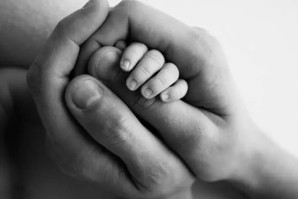 A newborn holds on to mom's, dad's finger. Hands of parents and baby close up. A child trusts and holds her tight. Tiny fingers of a newborn. Black and white macrophoto. Concepts of family and love.