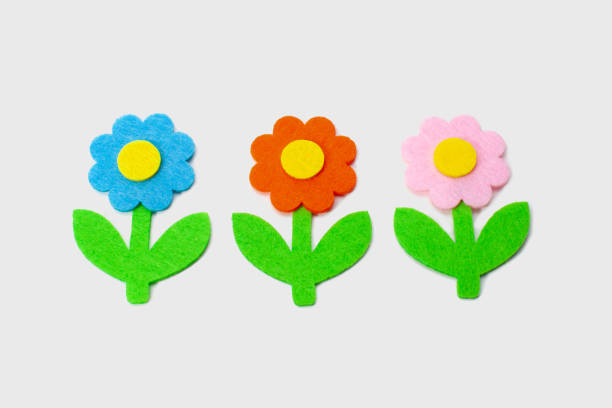 istock velvet flowers on white background 1433437041