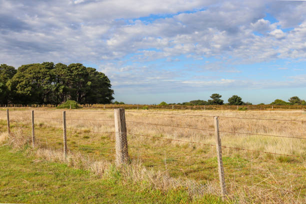 istock rural landscape with fence in field 1433442291