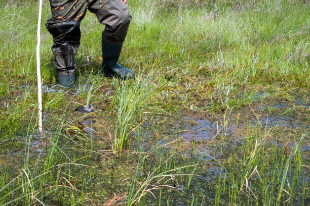 Swamp swamp overcoming in special marsh rubber boots and with a safety stick