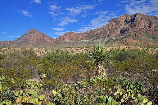The Chisos Mountains in Big Bend National Park offer stunning vistas and amazing views of Chihuahuan Desert flora and fauna.