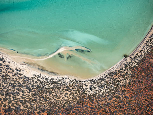 istock Aerial view of tidal dunes and water 1433452810