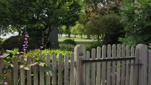 Fence and Gate in New Castle, DE