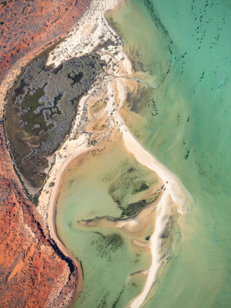 istock Aerial view of tidal dunes and water 1433452843