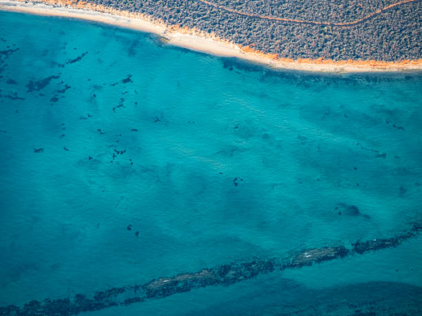 istock Aerial view of tidal dunes and water 1433452861