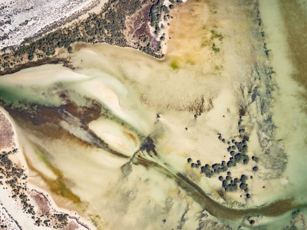 istock Aerial view of tidal dunes and water 1433452885