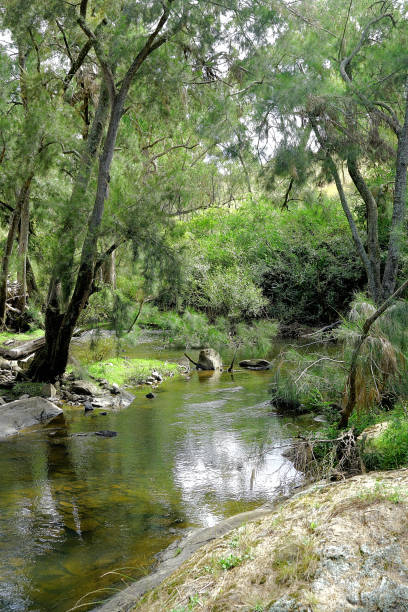 istock Orange,  New South Wales, Australia 1433456314