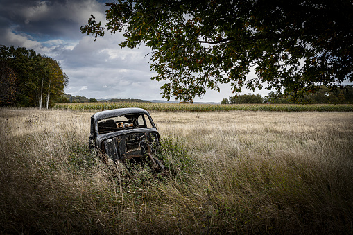 An old car slowly rusts away under a blanket of growing moss