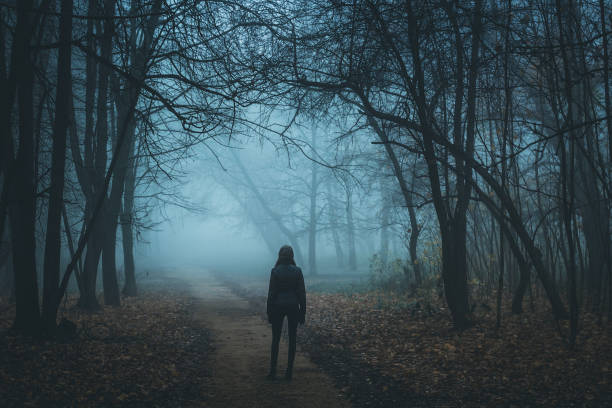 istock Girl on the road in a mysterious forest 1433467239