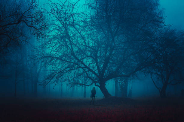 istock Girl on the road in a mysterious forest 1433467282