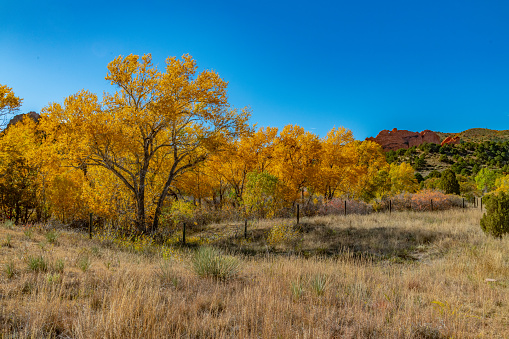 Autumn colors in the Garden of the Gods in Colorado Springs, Colorado in western USA.