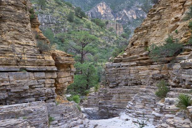 Guadalupe Mountains National Park in Texas