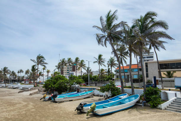 boca del rio, veracruz - veracruz imagens e fotografias de stock