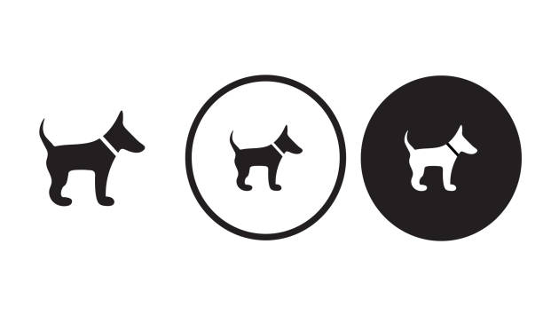 icon-hund - veterinary medicine flash stock-grafiken, -clipart, -cartoons und -symbole