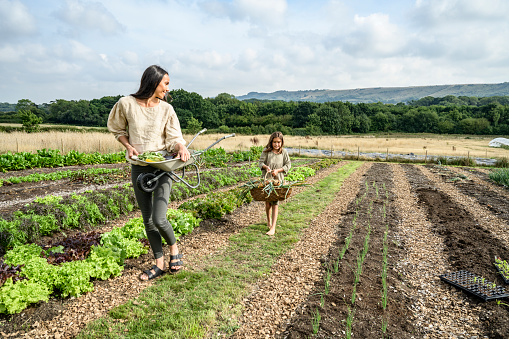 Full length view of smiling mid adult mother and young daughter carrying harvested produce in vegetable garden of smallholding farm.