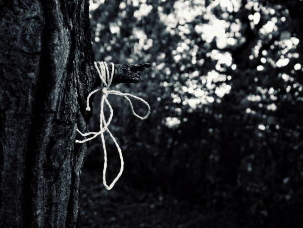 istock close-up of string on branch 1433472234