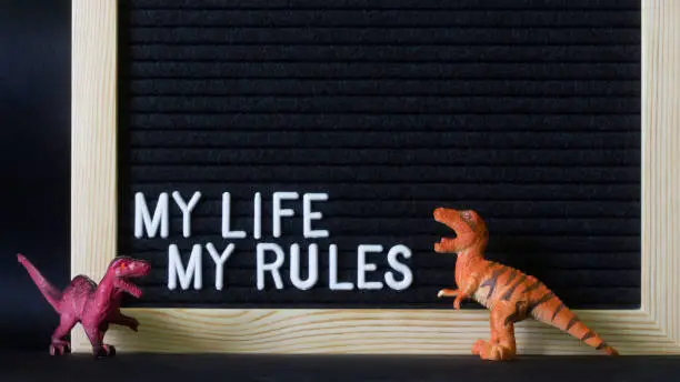 The inscription: My life my rules on a black felt board next to toy dinosaurs. A possible element of design and decoration of a teenager's room. Close-up