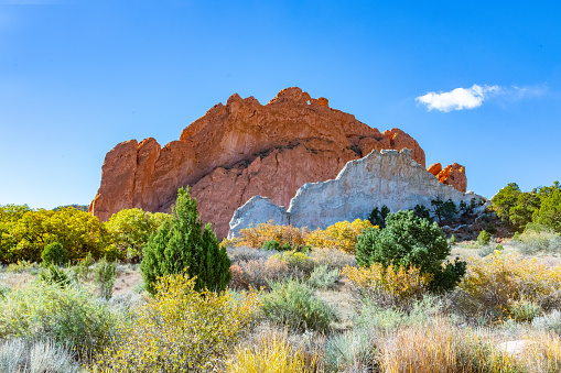 Massive sandstone surrounded by autumn colors in the Garden of the Gods in Colorado Springs, Colorado in western USA.