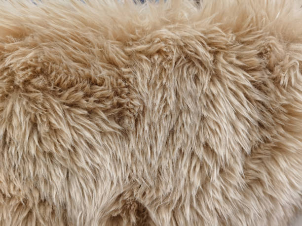 Faux Fur Fur For The Background Stock Photo - Download Image Now - Animal  Hair, Fur, Beige - iStock