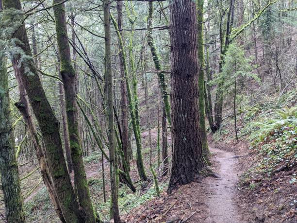 istock Winding trails in Iron Mountain Park 1433478663