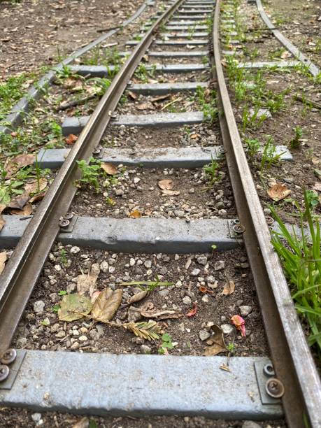 istock Railroad tracks in nature. 1433490738