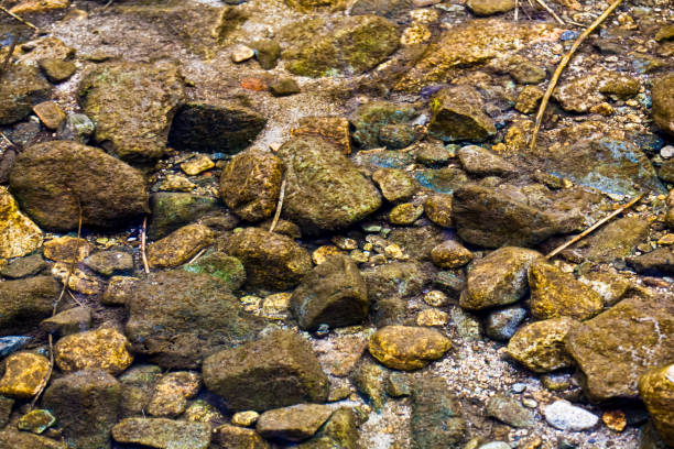 The bottom of a clear stream