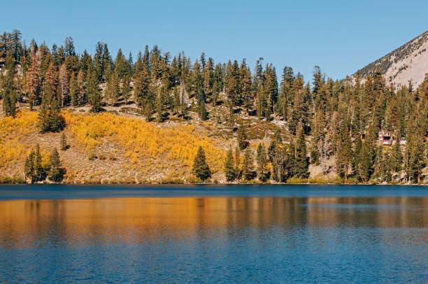 istock Fall mountain landscape, calm lake with reflecting trees 1433493548