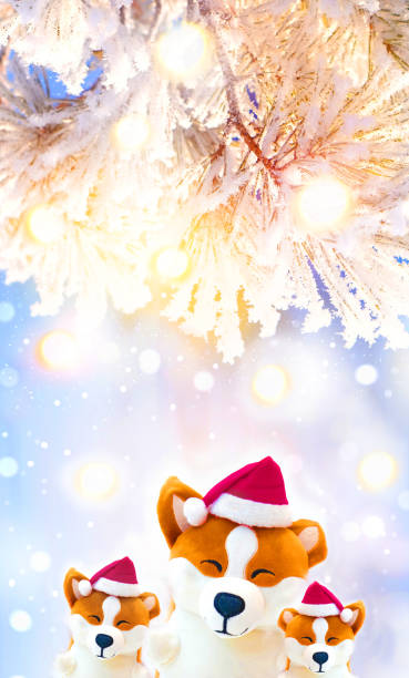 Dekorasi Tahun Baru Lucu Kartu Natal Dengan Mainan Lucu Corgi Puppy Dengan Topi Santa Selamat Tahun Baru Dekorasi Tahun Baru Lampu Suar Emas Foto Stok - Unduh Gambar Sekarang - iStock
