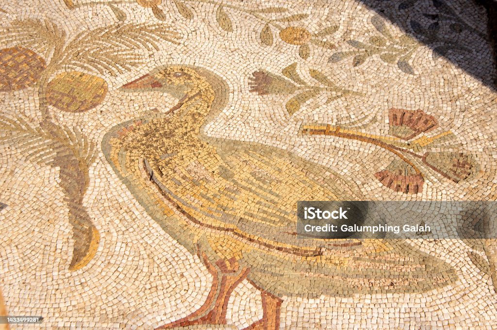 Mosaic of duck in outdoor paving in the Roman era ruins, Carthage, Tunisia Carthage was the capital city of the ancient Carthaginian civilization, on the eastern side of the Lake of Tunis in what is now Tunisia. Carthage was one of the most important trading hubs of the Ancient Mediterranean and one of the most affluent cities of the classical world.
The city developed from a Canaanite Phoenician colony into the capital of a Punic empire which dominated large parts of the Southwest Mediterranean during the first millennium BC.
The ancient city was destroyed in the nearly-three year siege of Carthage by the Roman Republic during the Third Punic War in 146 BC and then re-developed as Roman Carthage, which became the major city of the Roman Empire in the province of Africa. 
Late antique and medieval Carthage continued to play an important cultural and economic role in the Byzantine period. The city was sacked and destroyed by Umayyad forces in 698 to prevent it from being reconquered by the Byzantine Empire. It remained occupied during the Muslim period and was used as a fort by the Muslims until the Hafsid period when it was taken by the Crusaders with its inhabitants massacred during the Eighth Crusade.
The site of the ruins is a UNESCO World Heritage Site. Phoenicia - Ancient Civilization Stock Photo