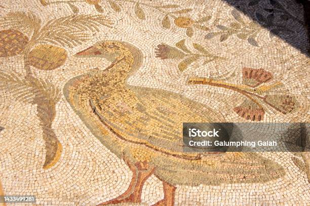 Mosaic Of Duck In Outdoor Paving In The Roman Era Ruins Carthage Tunisia Stock Photo - Download Image Now