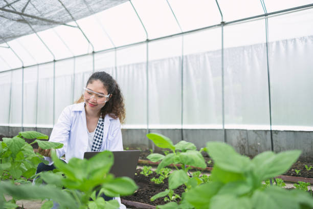 patologistas de plantas estudam plantas e seus processos biológicos - agriculture greenhouse research science - fotografias e filmes do acervo