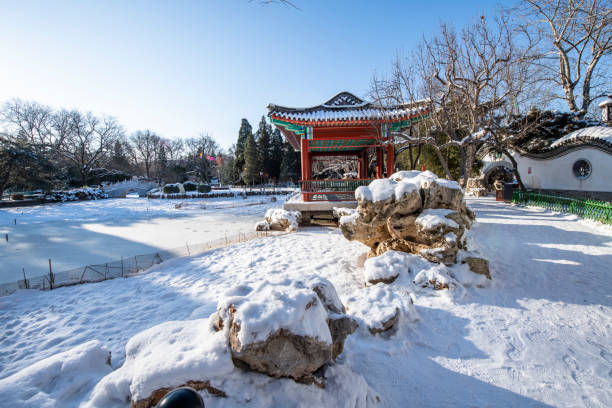 Snow in a public park