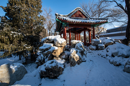 Snow in a public park