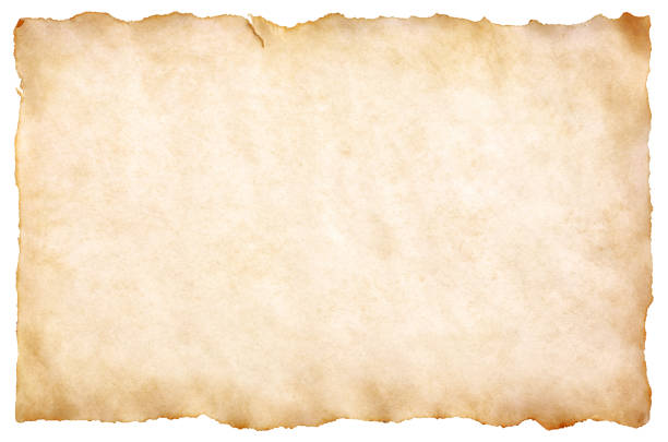 오래된 양피지 용지 시트 빈티지 숙성 또는 흰색 배경에 고립 된 질감 - parchment 뉴스 사진 이미지