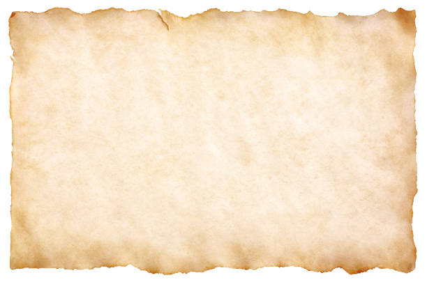 old parchment paper sheet vintage aged or texture isolated on white background - parchment imagens e fotografias de stock